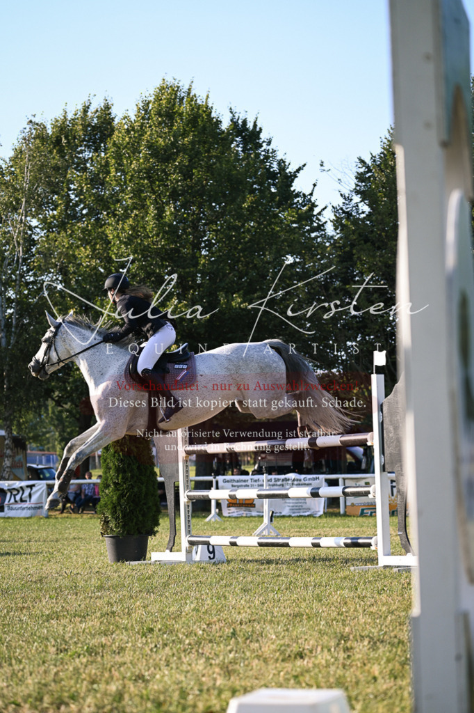 DSC_1807 | Pferde- und Turnierfotografie in Westsachsen. Pferdeportraits, Auftragszeichnungen und intuitive Kunst.