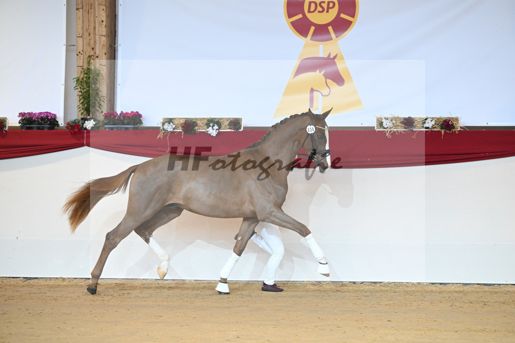 Kat-Nr. 38 Benicio_Wille_1231274 | hf-fotografie - Realisiert mit Pictrs.com