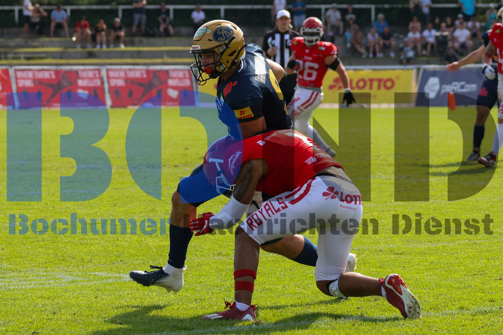 GFL: Potsdam Royals vs. Dresden Monarchs{date} -  | {headline}(Foto: Thomas Sobotzki / BOND) - Realisiert mit Pictrs.com