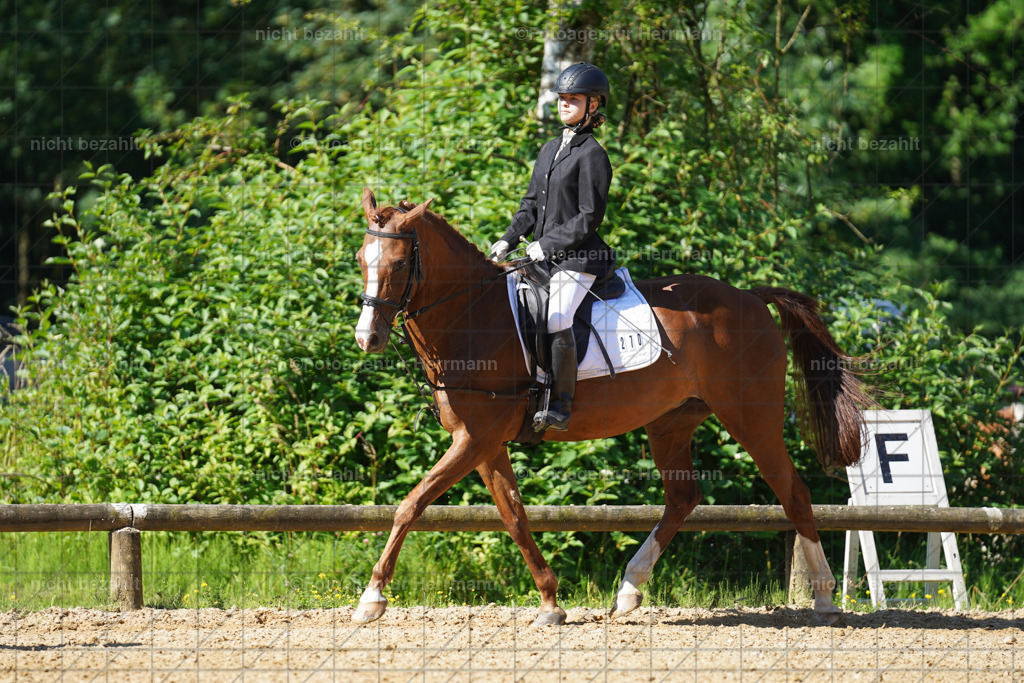 20240706-FAH04577 | Grafing Turnierfotos, Reitverein Ebersberg, Turnierfotografen Bayern, reitsportbilder, Pferdefotograf, reitsportfotograf, Sportbilder, Reitsportfotografie, Fotoagentur Herrmann, Turnierfotograf
