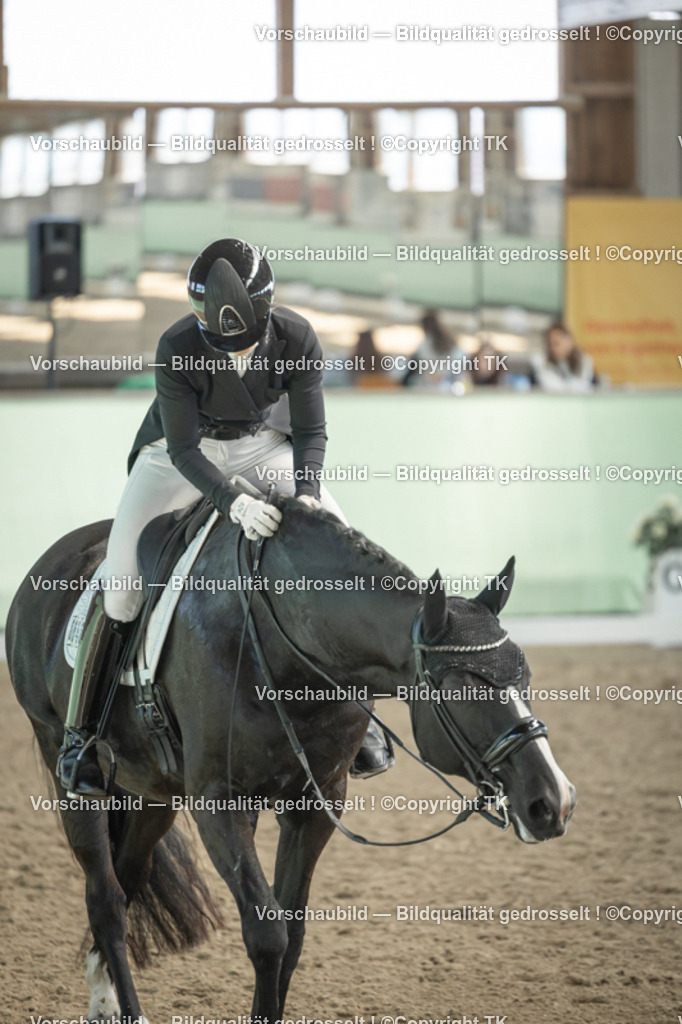 _D5A2143 | Emotionale Pferde- & People-Fotografie rund um Heidelberg, Leimen & Umgebung. Natürliche Fotos von Pferd, Mensch & Familie. Jetzt Termin sichern!