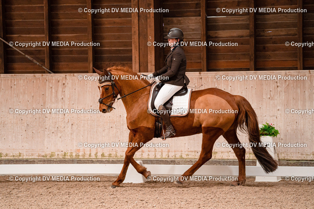 Dressur Tag 2-239 | dv-media-shop - Realisiert mit Pictrs.com