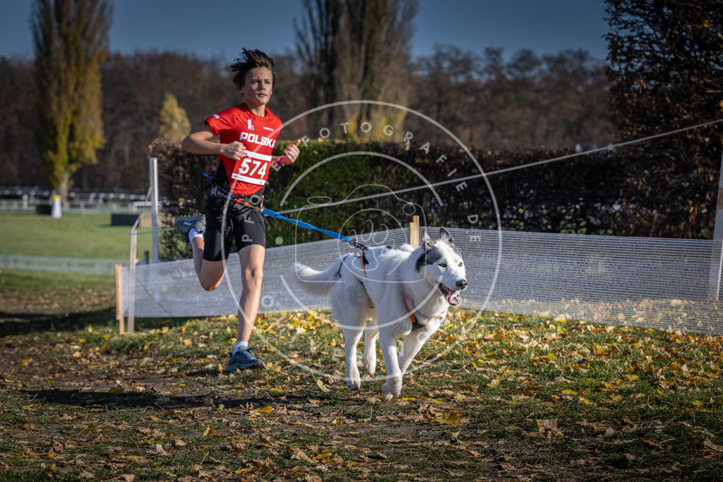 CaniXpix_DV3A8933 | Hundefotografie, Tierfotograf, Pfotenfotografie, Fotoshooting Hund, Hunde Portrait, Hundesport, Hundeportraits, Heideshooting, Hunde, Sportfotograf, Hundefotograf, Turnierhundsport, THS,  - Realisiert mit Pictrs.com