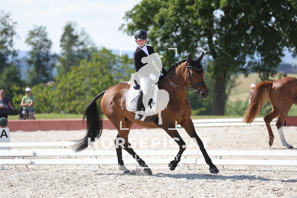 0P6A7714 | Willkommen bei Brunnmayr - Design & Fotografie – Ihrem Spezialisten für Reitturniere und Pferdeveranstaltungen in Oberösterreich, Salzburg und Bayern! Seit über 17 Jahren sind wir leidenschaftlich dabei.