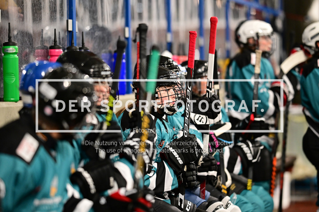 Eishockey I Frauen I Saison 2023-2024 I Testspiel I TuS Harsefeld Tigers - Crocodiles Hamburg I 05023 | Der Sportfotograf. - Realisiert mit Pictrs.com