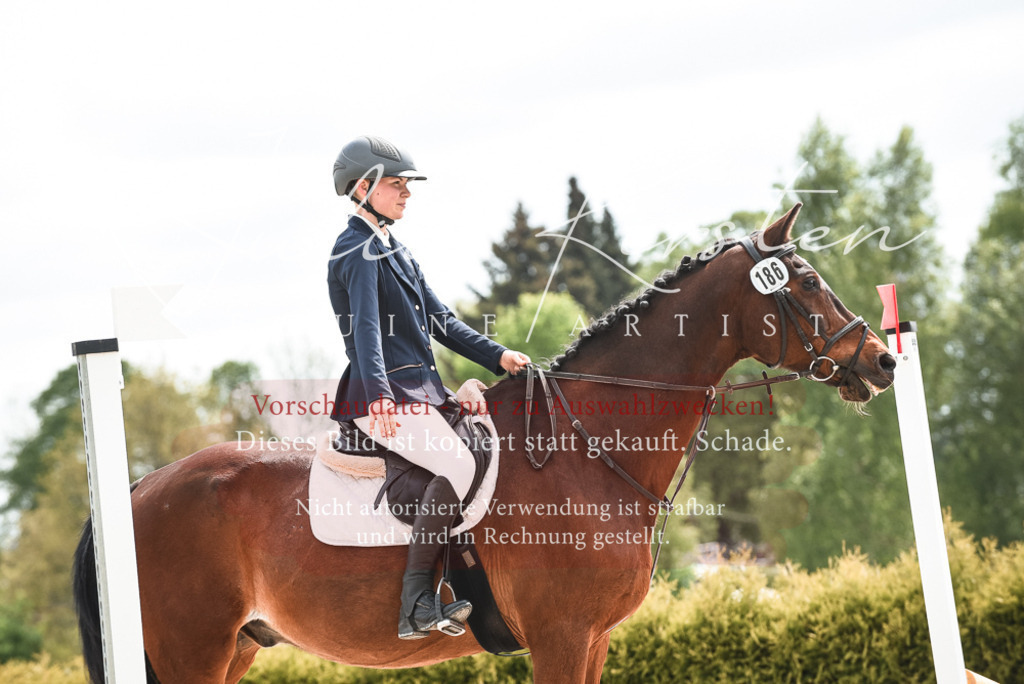 20230518_JK-Röhrsdorf-10-054 | Pferde- und Turnierfotografie in Westsachsen. Pferdeportraits, Auftragszeichnungen und intuitive Kunst.
