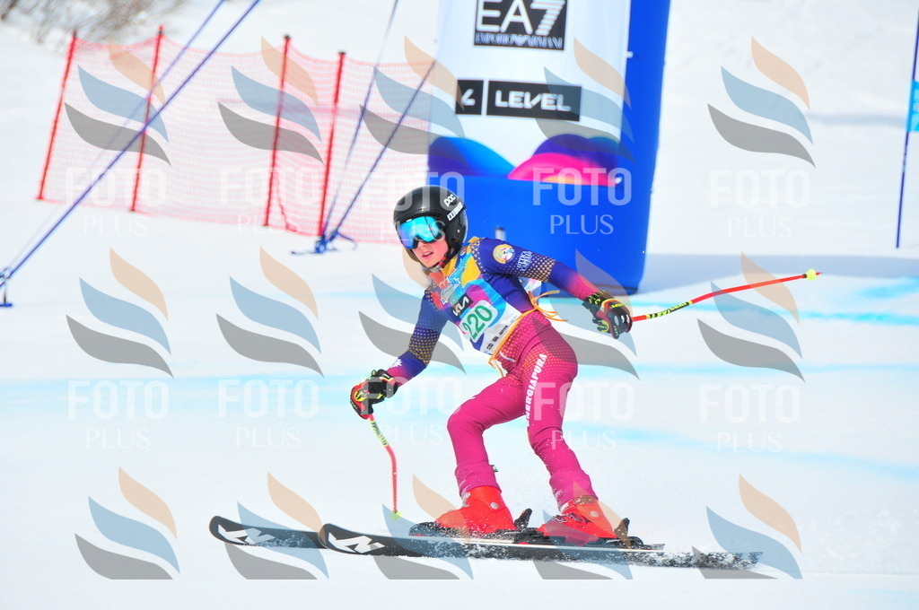 DSC_2033 | holidayphoto