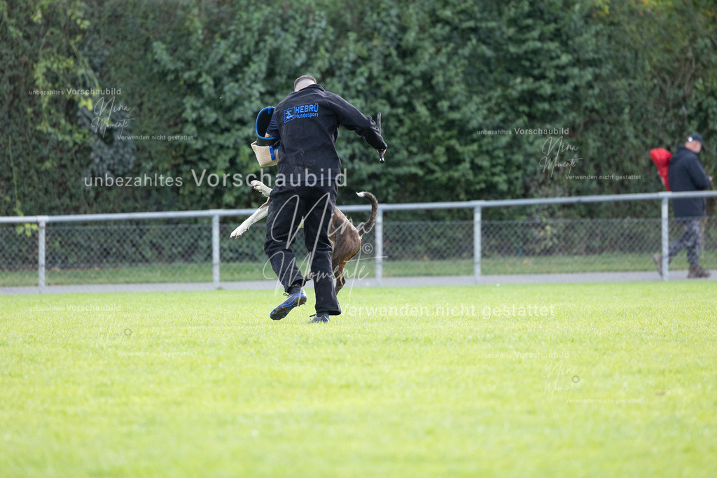 _16A6512 | Einzigartige Fotos von Hunden & Menschen –Actionfotos, Portraits, Vereinsaufnahmen & Paarshootings – authentisch, lebendig & mit Herz.
