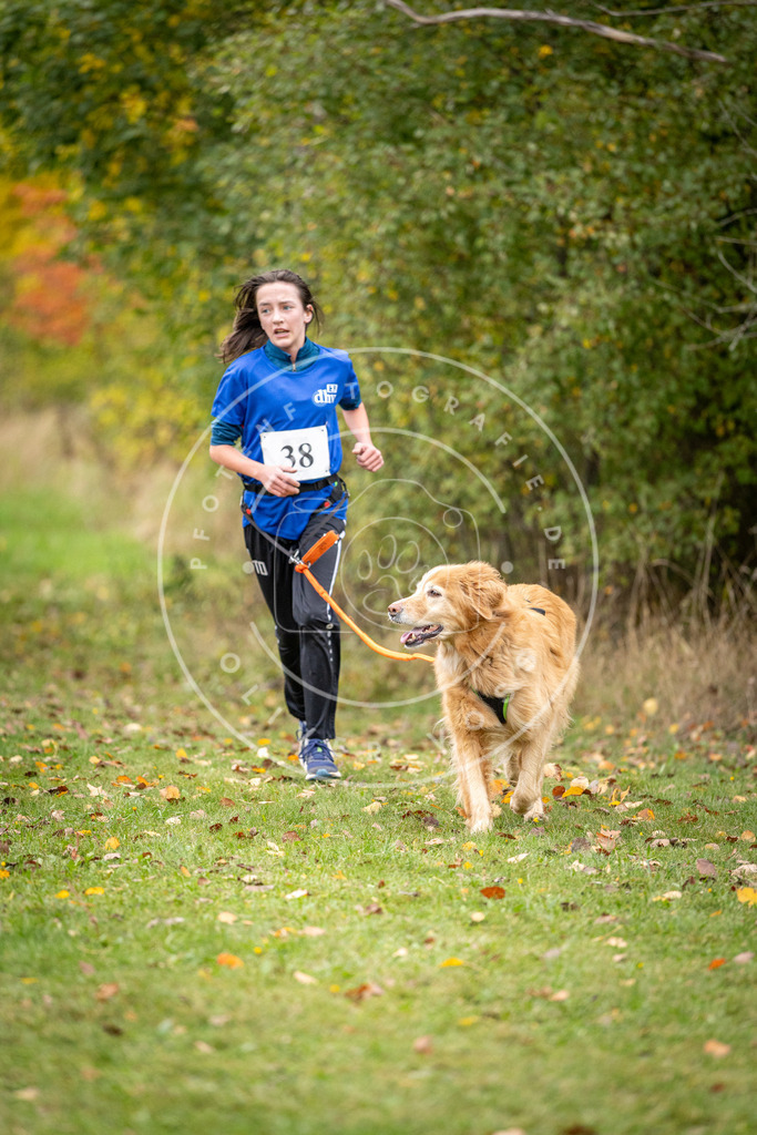 Pfotenfotografie_DV3A2233 | Hundefotografie, Tierfotograf, Pfotenfotografie, Fotoshooting Hund, Hunde Portrait, Hundesport, Hundeportraits, Heideshooting, Hunde, Sportfotograf, Hundefotograf, Turnierhundsport, THS,  - Realisiert mit Pictrs.com