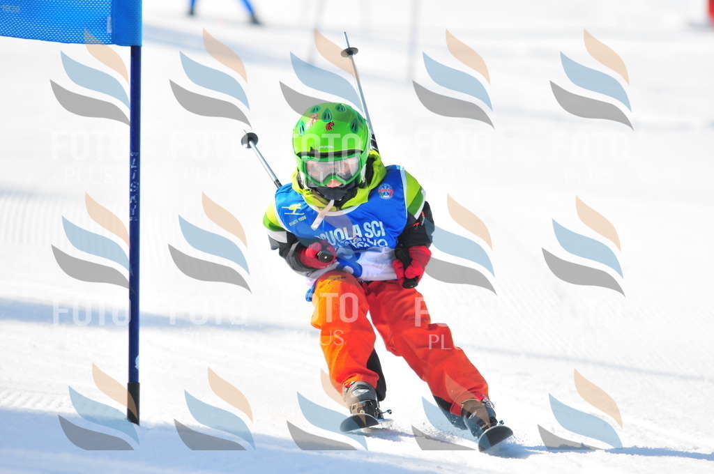 B9068 | holidayphoto