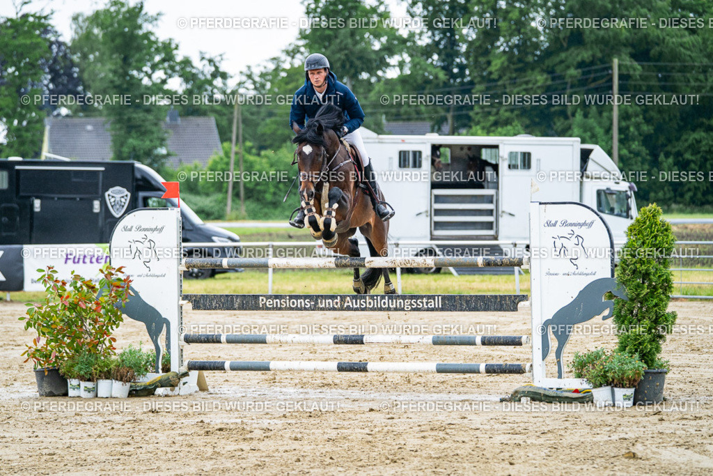 DSC03689 | Pferdegrafie