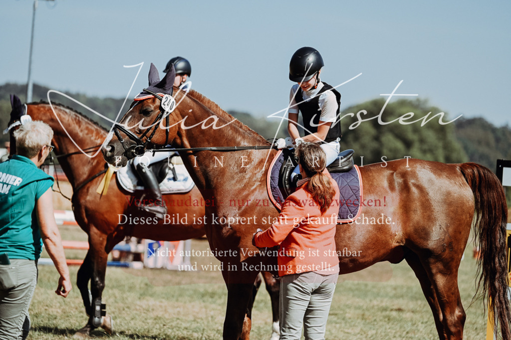 DSC_0105 | Pferde- und Turnierfotografie in Westsachsen. Pferdeportraits, Auftragszeichnungen und intuitive Kunst.