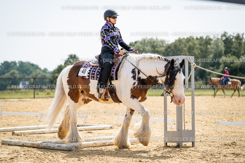 DSC00077 | Pferdegrafie