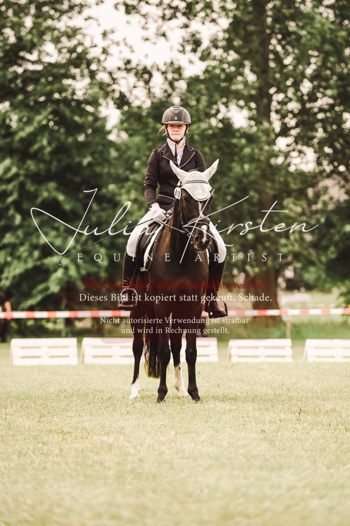 DSC_5153 | Pferde- und Turnierfotografie in Westsachsen. Pferdeportraits, Auftragszeichnungen und intuitive Kunst.