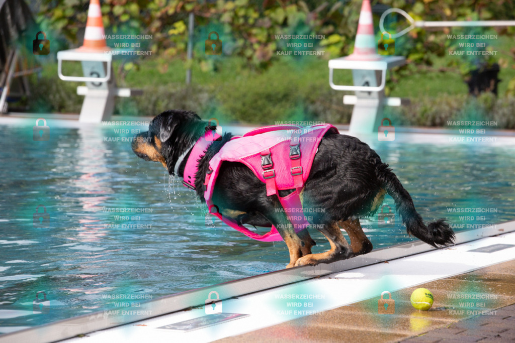 _HP_7604_1000o | HetPix, HetPix Fotodesign, Fotografie, Fotodesign, Webshop, Sportfotografie, Portraitfotografie, Onlineshop, Sportfotografie, Polch, Motorsportfotografie, Eventfotografie