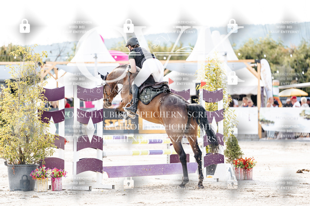 CK906253 | Turnierfotografie Pferdefotografie Trier Rheinland-Pfalz Pferdesport Reitsport Tierfotografie Sportfotografie Pferdevideo Pferdevideografie Equestrianvideography equestrianphotography  - Realisiert mit Pictrs.com