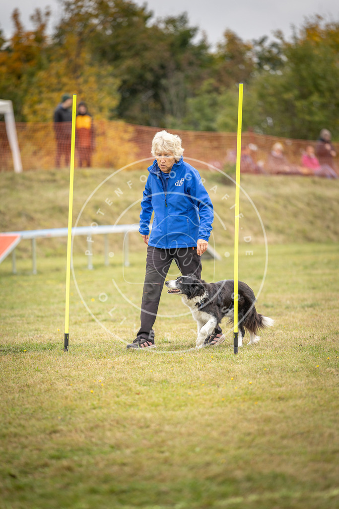 Pfotenfotografie_DV3A5286 | Hundefotografie, Tierfotograf, Pfotenfotografie, Fotoshooting Hund, Hunde Portrait, Hundesport, Hundeportraits, Heideshooting, Hunde, Sportfotograf, Hundefotograf, Turnierhundsport, THS,  - Realisiert mit Pictrs.com