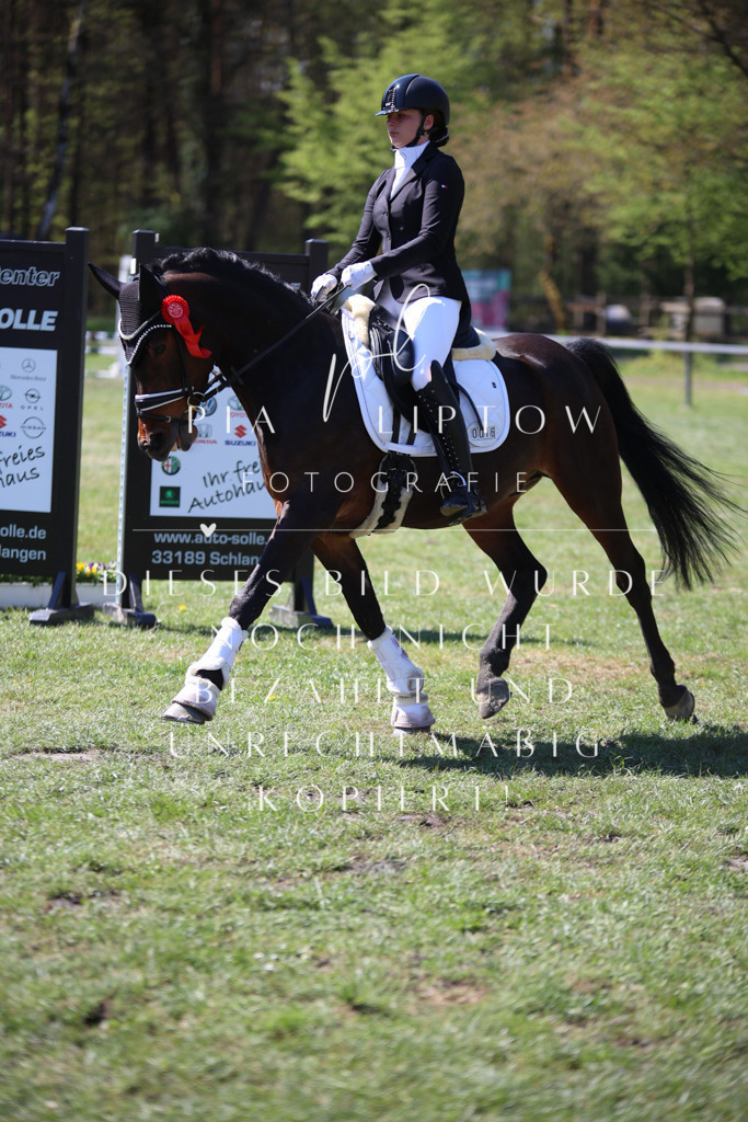 IMGT7944 | pl-fotografie