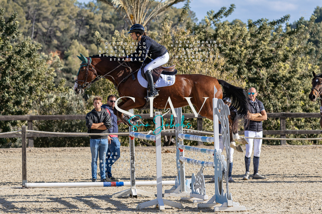 IMG_0041 | s-jay-photography - Realisiert mit Pictrs.com