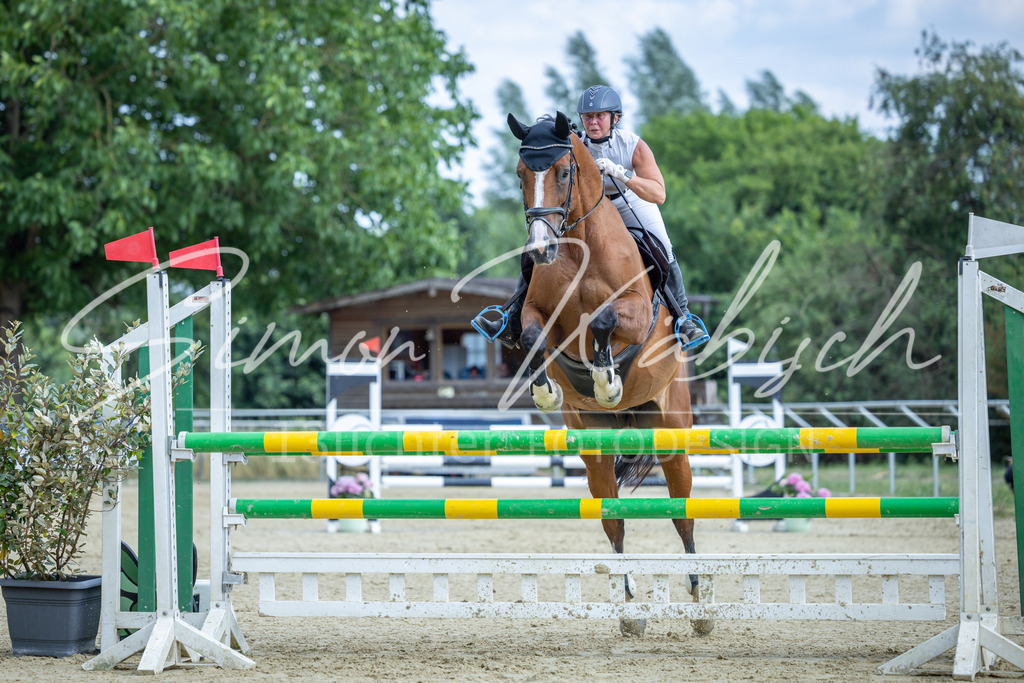 20260704-_3LI2092 | Tierfotografie Pferde, Hunde, Katzen, Haustiere.
Turnierfotografie Reitturniere, Reiten, Springreiten, Dressur in Hanau, dem Main-Kinzig-Kreis und dem Rhein-Main- Gebiet um Frankfurt