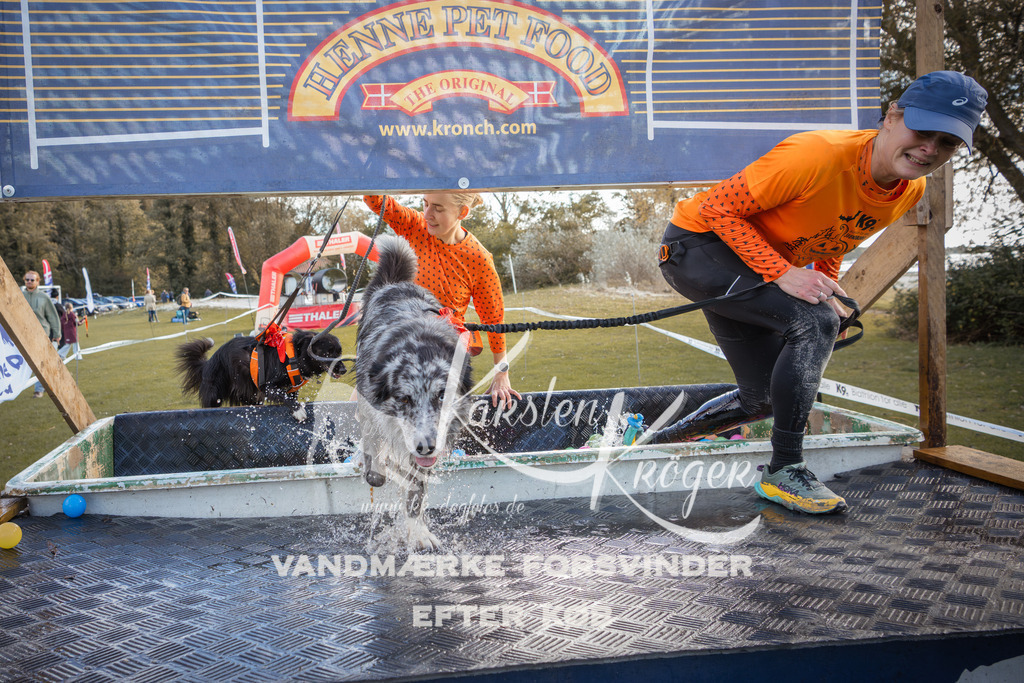 1318_ZZ90136-2 | kk-dogfotos