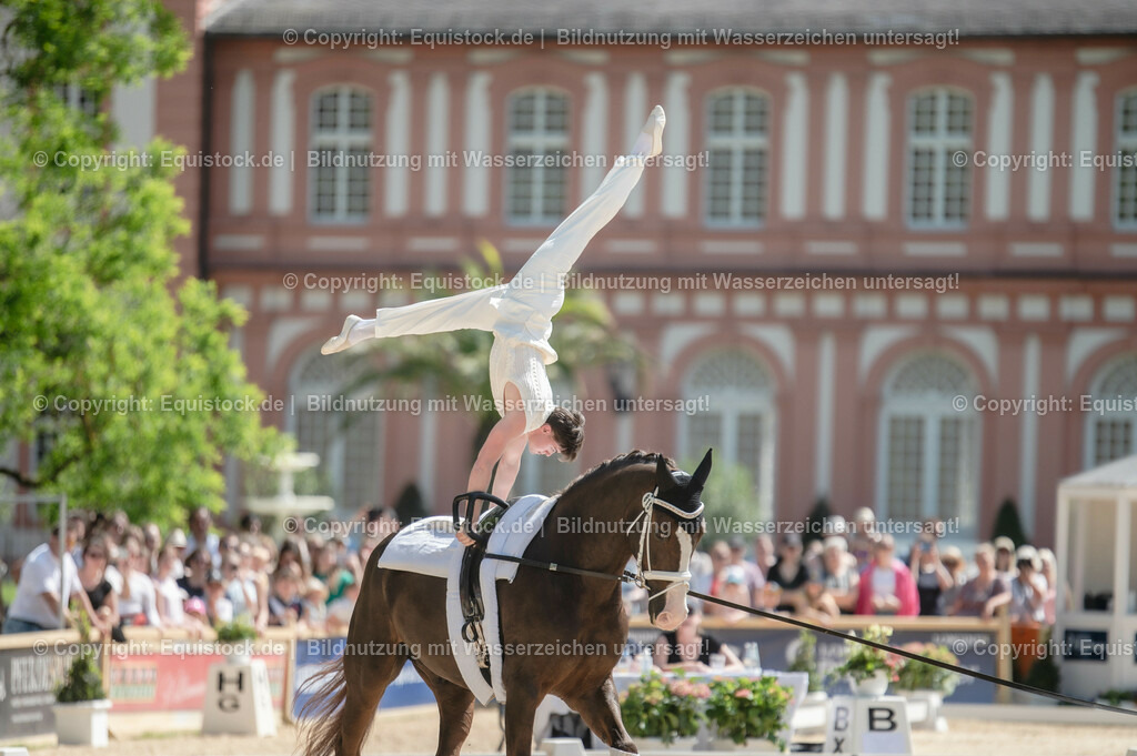 20230528_Voltigieren_NASPA_0079 | equistock