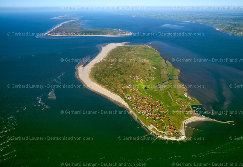 3091419 | Baltrum, Nationalpark Niedersächsisches Wattenmeer