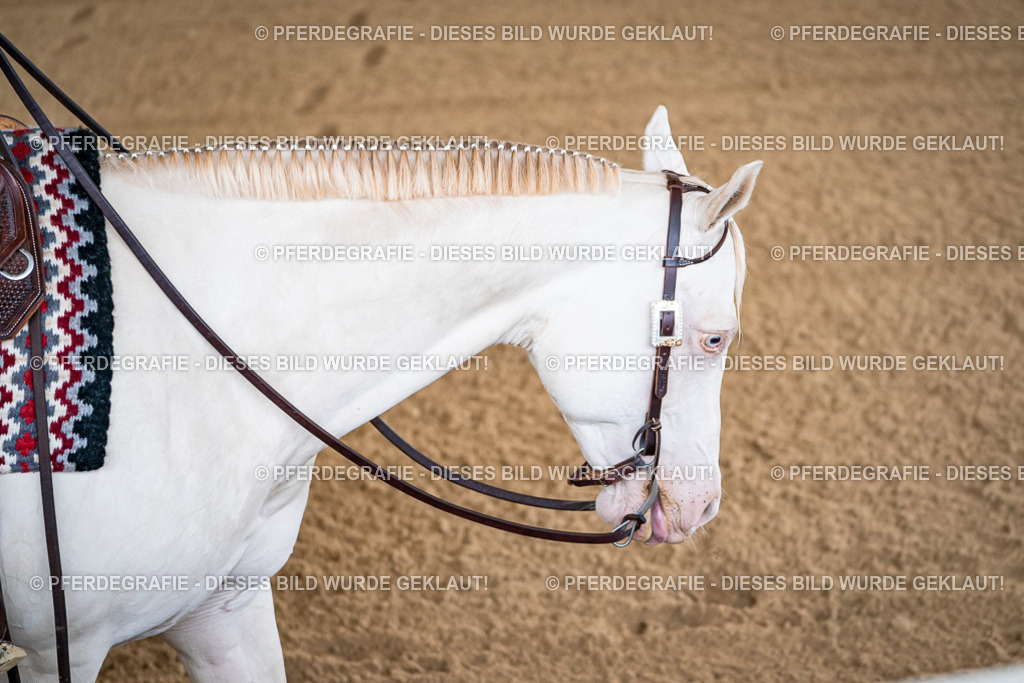 DSC01409 | Pferdegrafie