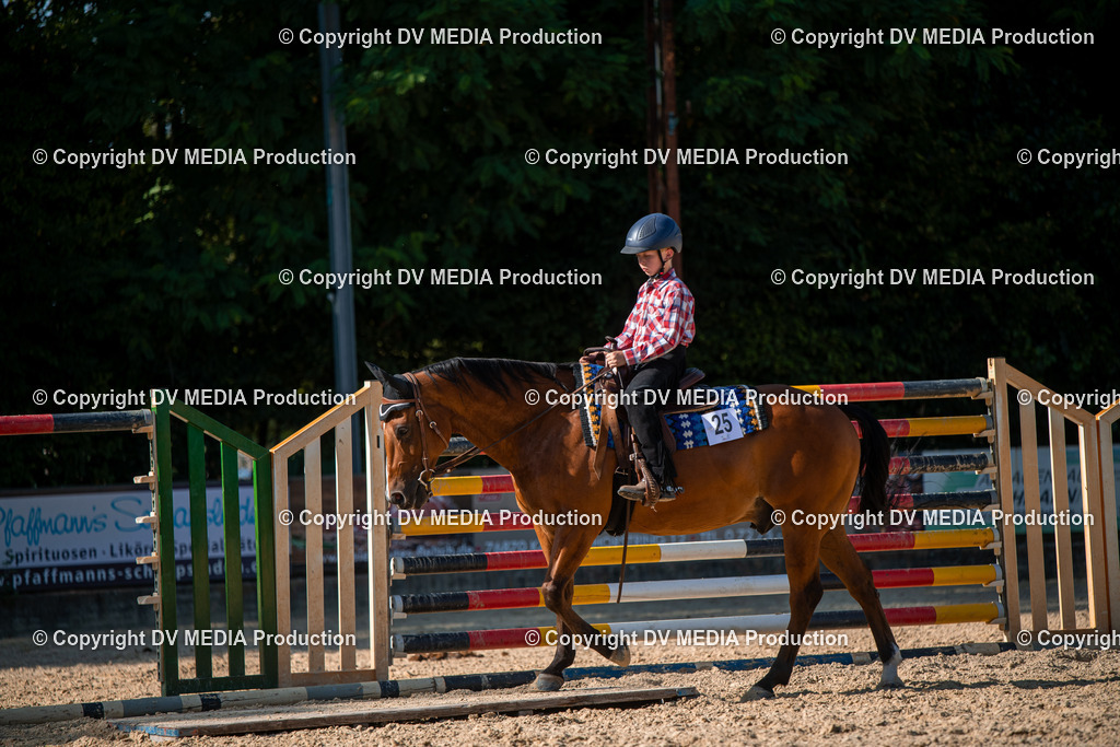 EWP_7010 | dv-media-shop - Realisiert mit Pictrs.com