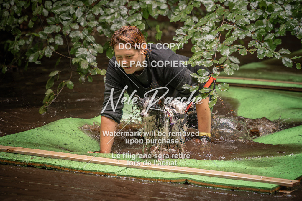 nelerasche_Wingst_Sa1330-1400_309 | nelerasche