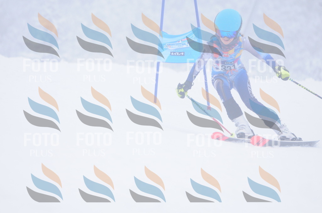 C3540 | holidayphoto