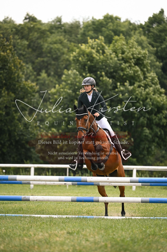 DSC_9144 | Pferde- und Turnierfotografie in Westsachsen. Pferdeportraits, Auftragszeichnungen und intuitive Kunst.