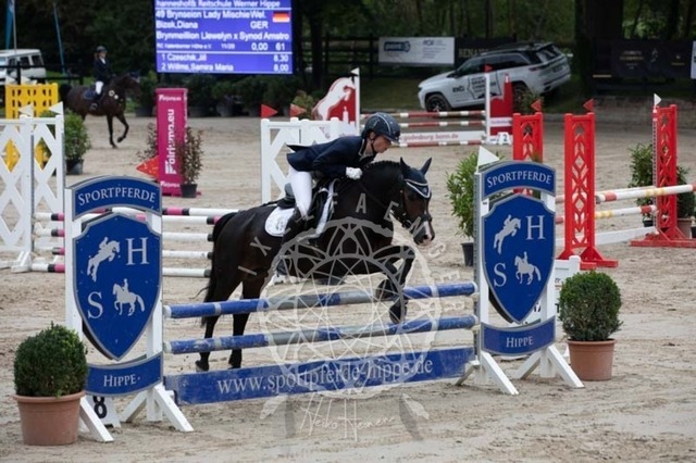 2B4A2278 | pixelfaenger - Realisiert mit Pictrs.com