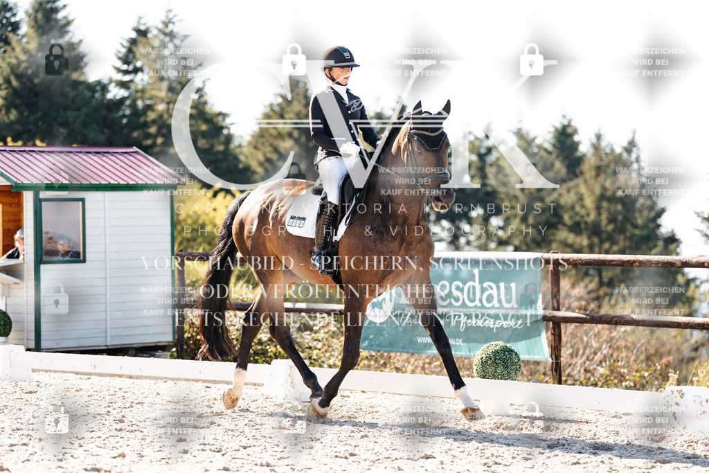 CK905891 | Turnierfotografie Pferdefotografie Trier Rheinland-Pfalz Pferdesport Reitsport Tierfotografie Sportfotografie Pferdevideo Pferdevideografie Equestrianvideography equestrianphotography  - Realisiert mit Pictrs.com