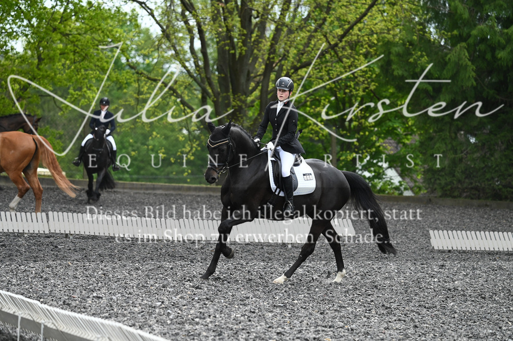 20230512_JK-Röhrsdorf-07-021 | Pferde- und Turnierfotografie in Westsachsen. Pferdeportraits, Auftragszeichnungen und intuitive Kunst.
