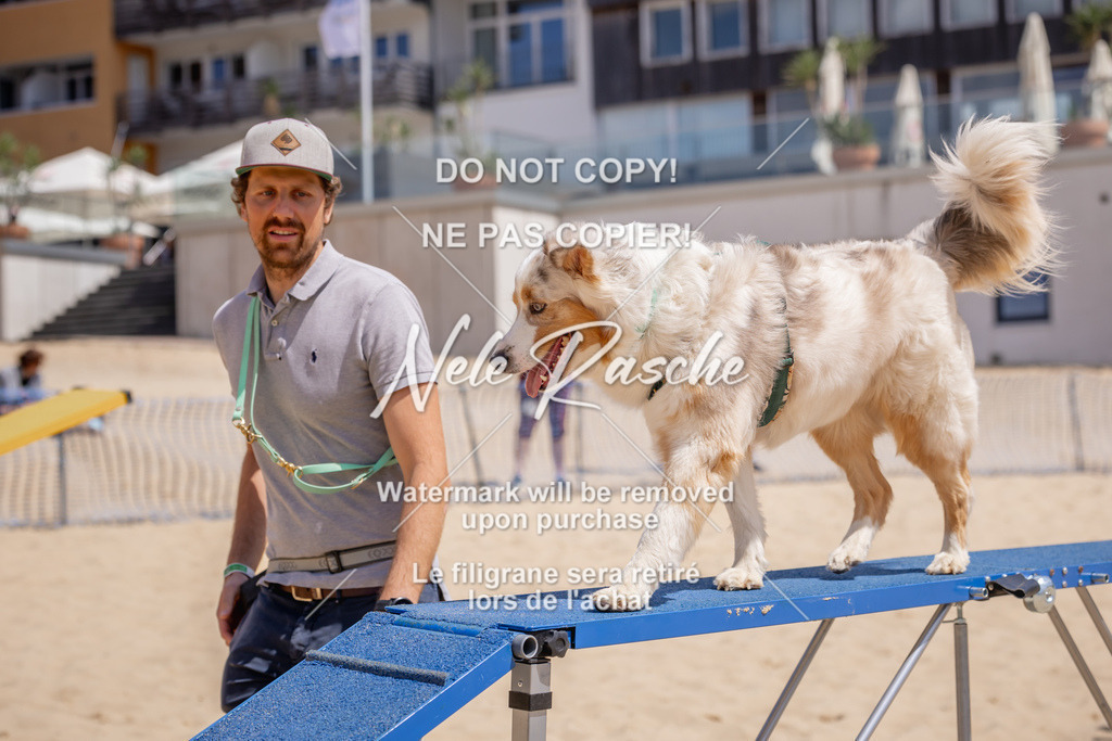 NR__2678 | nelerasche