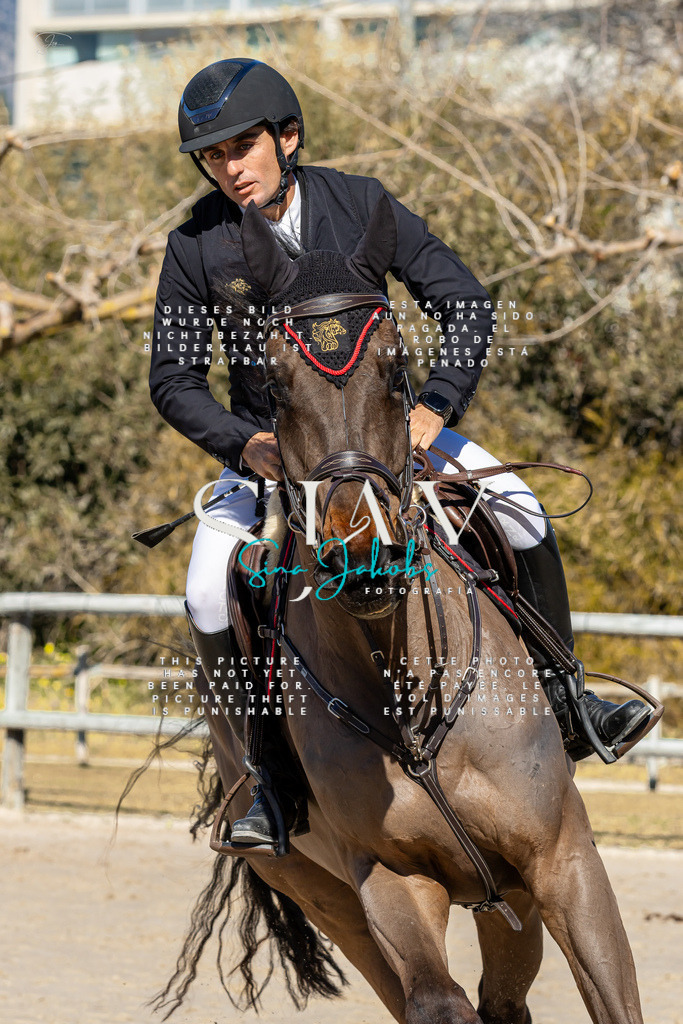 IMG_8920 | s-jay-photography - Realisiert mit Pictrs.com