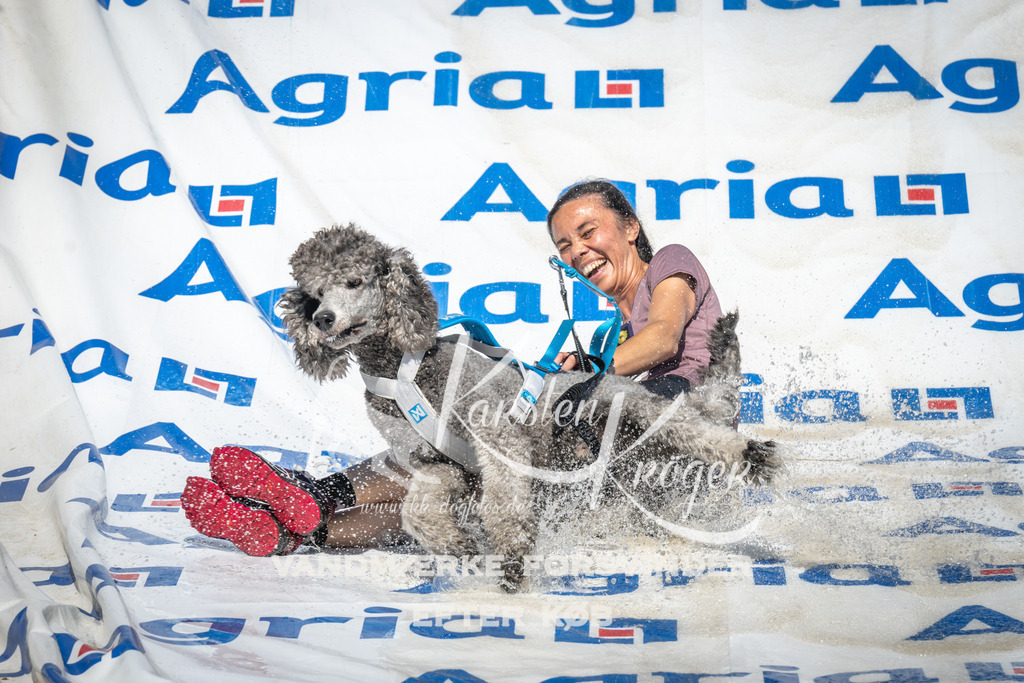 1455_ZZ96408 | kk-dogfotos