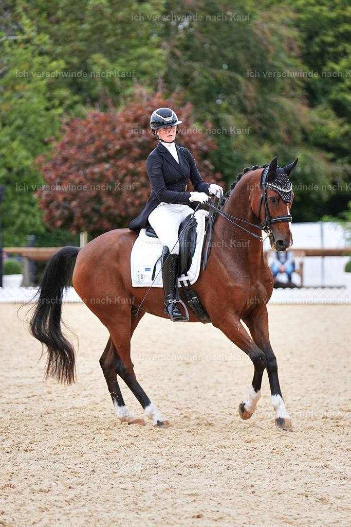 11-048-Dressur S___-Marixx-1526 | working equitationturnier fotograf videograf stoibphotography marixx film working equitation deutschland reitsport turnierfotografie eventfotografie equestrian events