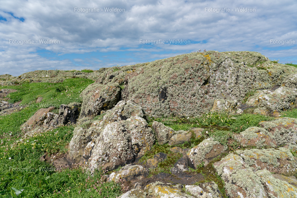 20230815 Isle of Sky - St.Andrews - Dundee-82 | Fotografie Woldron