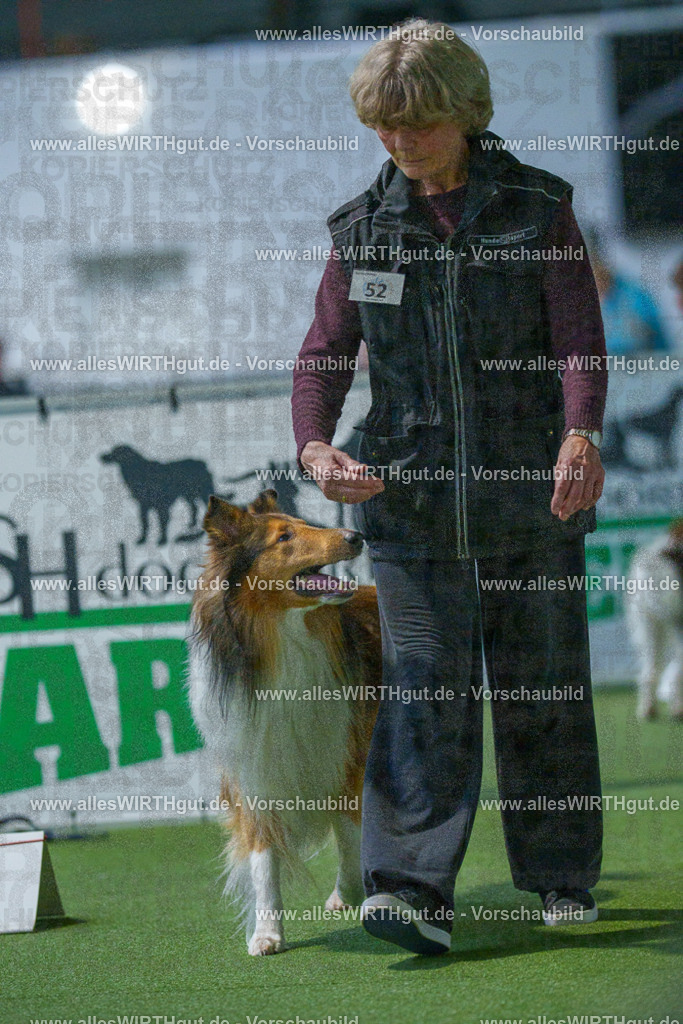 7R502062 | Professionelle Tierfotografie in Mönchengladbach von Daniel Wirth (allesWIRTHgut). Liebevolle & natürliche Bilder von Hunden & Katzen für unvergessliche Erinnerungen.