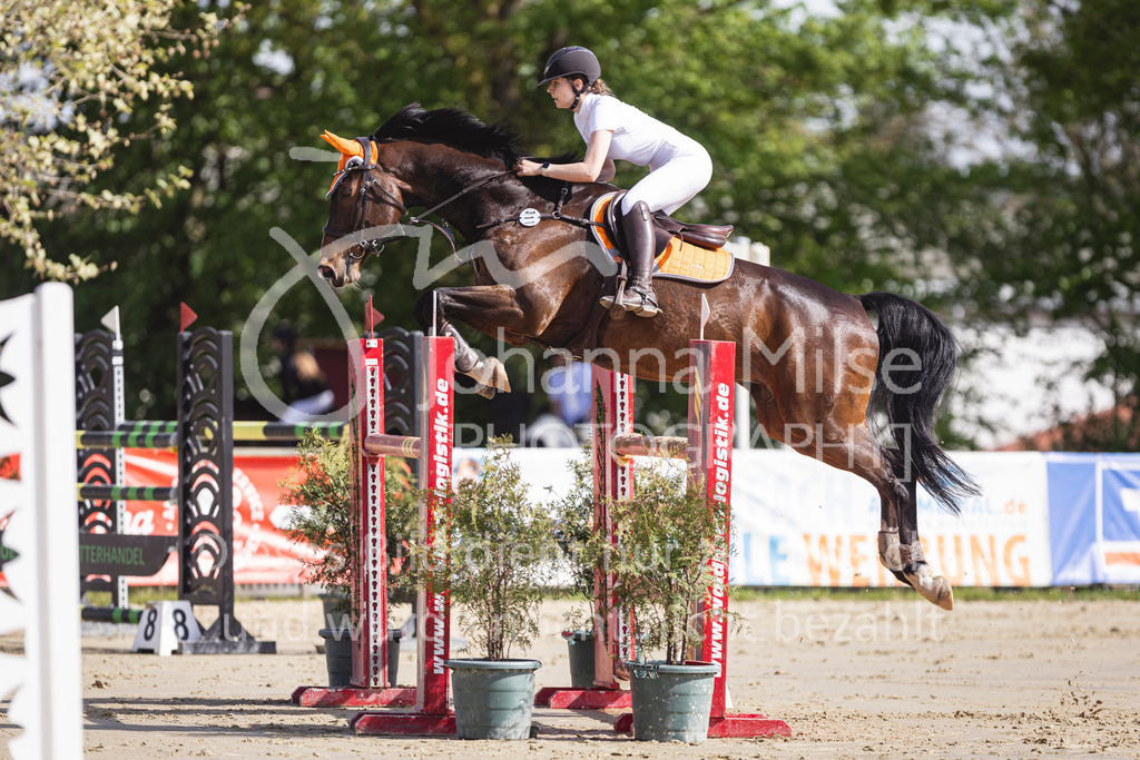 260503_Spenge_7_M2-Spr-m-steig-Anf-727 | Deine schönsten Turniermomente als professionelle Fotos! Entdecke hochwertige Pferdesport-Fotografie im Online-Shop. Jetzt Fotos finden & bestellen!