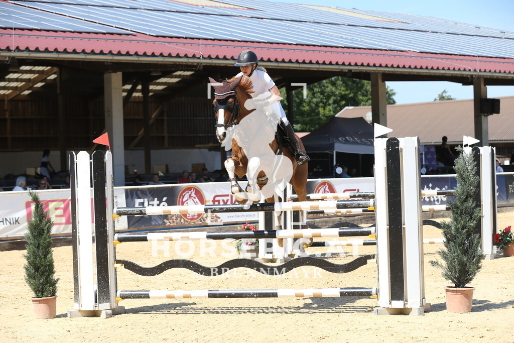 DL2Q3934 | Willkommen bei Brunnmayr - Design & Fotografie – Ihrem Spezialisten für Reitturniere und Pferdeveranstaltungen in Oberösterreich, Salzburg und Bayern! Seit über 17 Jahren sind wir leidenschaftlich dabei.