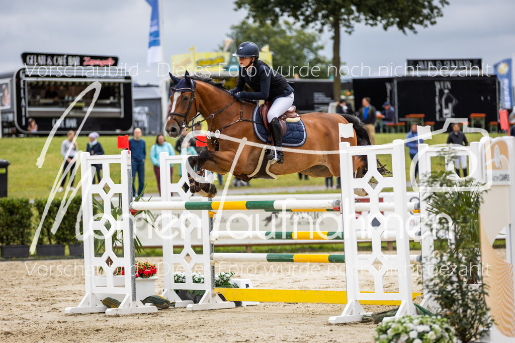 BHO-2PhSpr-M-5-2412 | MomenTaufnahmen Pferdesportfotos