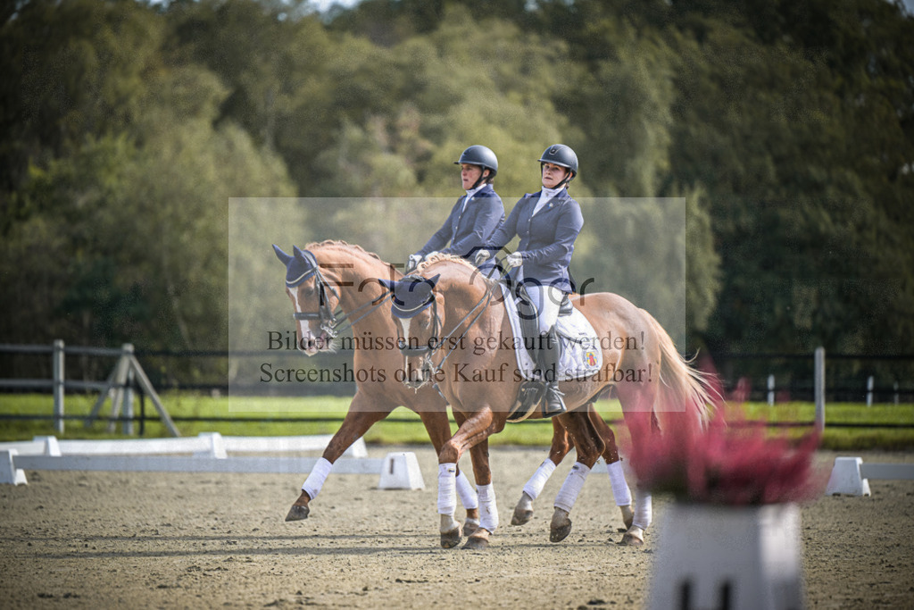 DOS_0324 | Entdecke hochwertige Reitturnierfotos von Foto Oger. Professionell, emotional und authentisch – jetzt Lieblingsmomente im Shop bestellen.Deutschlandweite Turnierfotografie. - Realisiert mit Pictrs.com