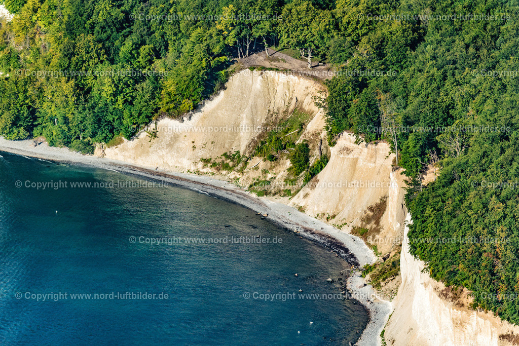 Lohme_Königsstuhl_Kreidefelsen_Rügen_ELS_4510100822_ | STUBBENKAMMER 10.08.2022 Bewaldete Kreidefelsen - und Steilküsten- Landschaft im Nationalpark Jasmund an der Steilküste an der Ostsee in Stubbenkammer auf der Insel Rügen im Bundesland Mecklenburg-Vorpommern, Deutschland. // Wooded chalk cliffs and cliff landscape in the Jasmund National Park on the cliffs on the Baltic Sea in Stubbenkammer on the island of Ruegen in the state Mecklenburg-West Pomerania, Germany. Foto: Martin Elsen