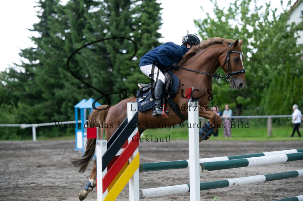 A7V04989 | Pferdefotograf