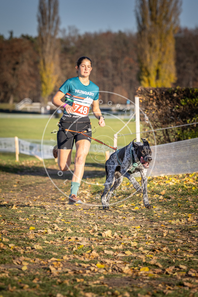 CaniXpix_DV3A2364 | Hundefotografie, Tierfotograf, Pfotenfotografie, Fotoshooting Hund, Hunde Portrait, Hundesport, Hundeportraits, Heideshooting, Hunde, Sportfotograf, Hundefotograf, Turnierhundsport, THS,  - Realisiert mit Pictrs.com