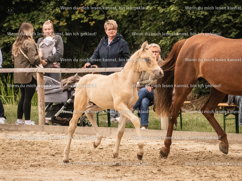 A10I1822 15.54.45 | photographylinaismer - Realisiert mit Pictrs.com