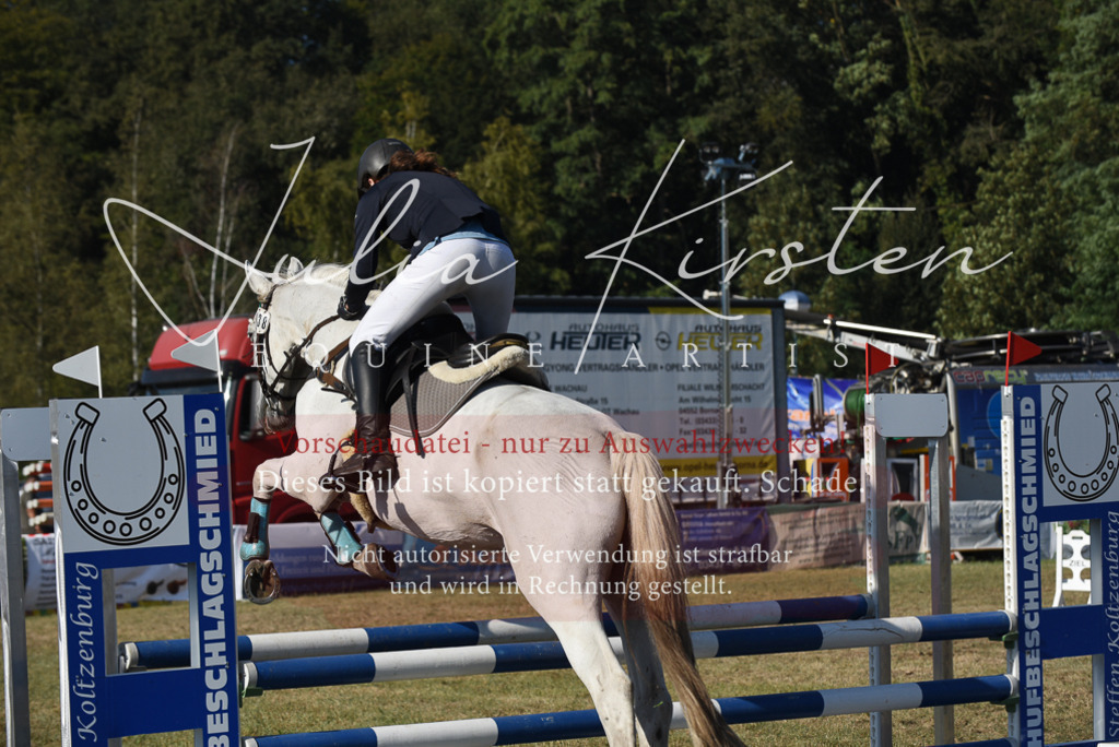 DSC_5262 | Pferde- und Turnierfotografie in Westsachsen. Pferdeportraits, Auftragszeichnungen und intuitive Kunst.